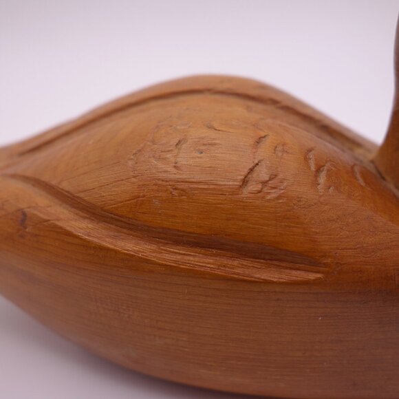 Wood Duck - Picture 16 of 16